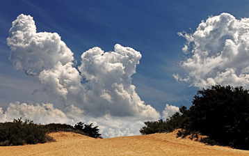 

Обои природа 2560x1600

